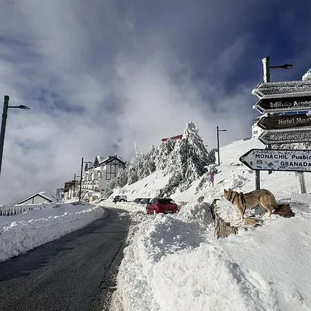 公寓 Snowgranada Parking Telecabina Pradollano Include